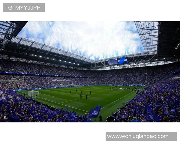 埃弗顿主场迎战热刺精彩回顾与赛后分析